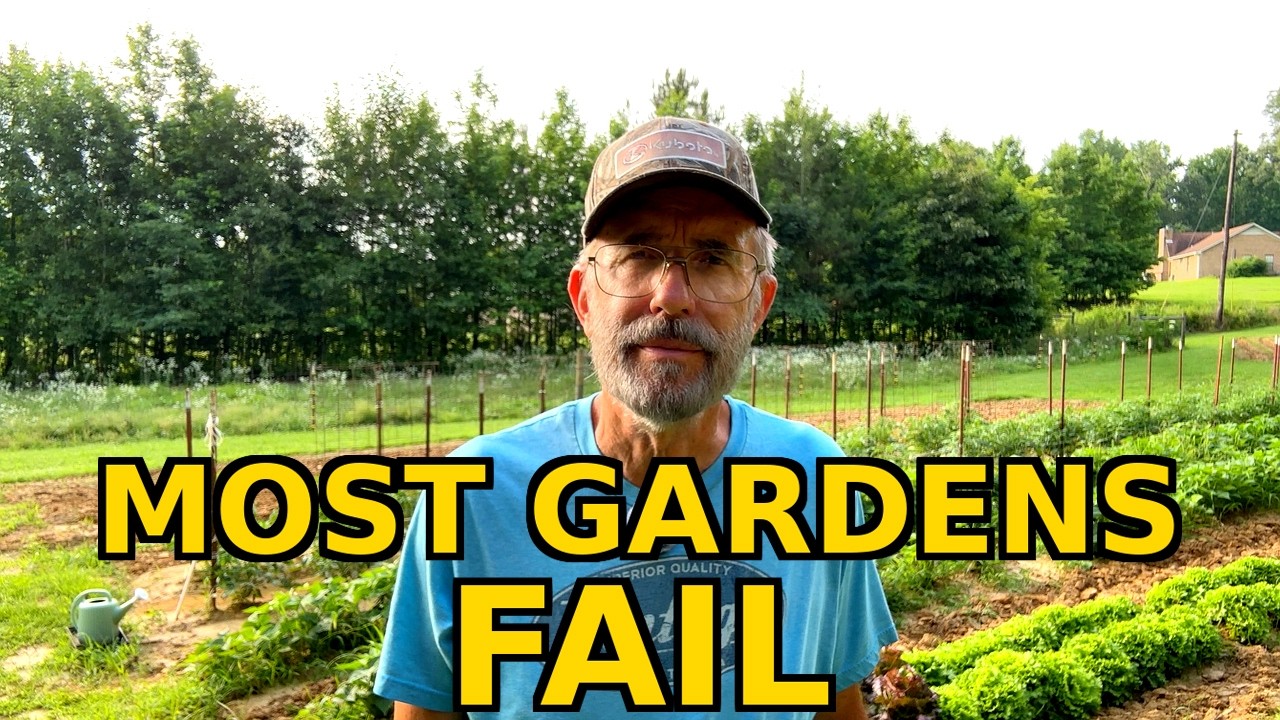 Why Most Gardens Never Produce Enough Food