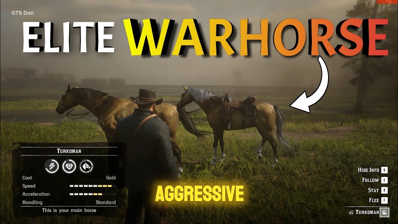 Easiest Way to Get GOLD TURKOMAN &ndash; RDR2 Horse Comparison 🤔