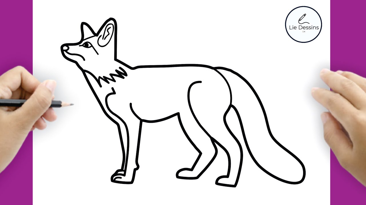 Comment dessiner un loup facilement &eacute;tape par &eacute;tape