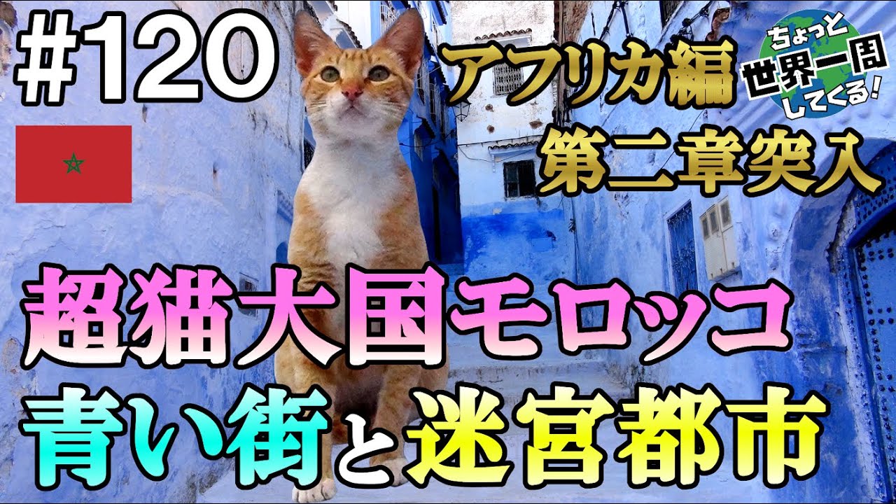 #120【猫が幸せに生きれる国】アフリカ大陸再開一発目の国は猫カフェが最も必要のない国だった（フェズ、シェフシャウエン / モロッコ①）世界一周 2011-2014