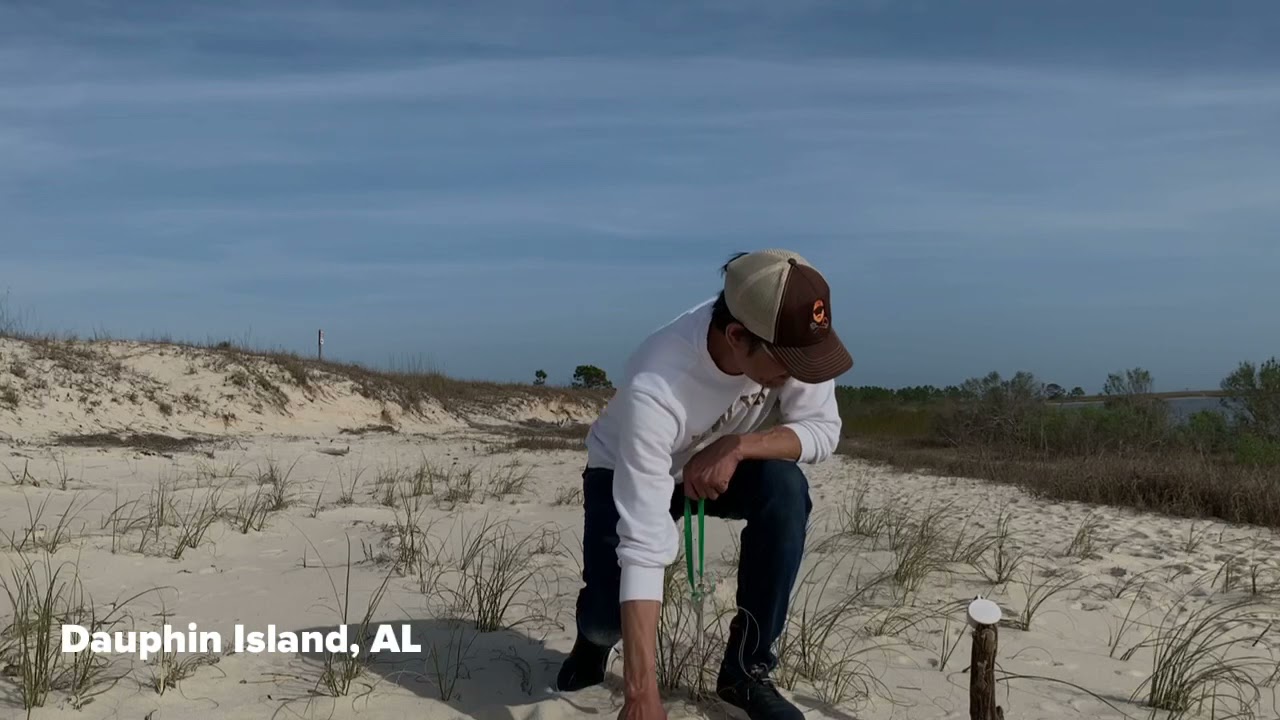FLiP CLiP: Prime Fork Catapult Beagle MOc - Beach 02