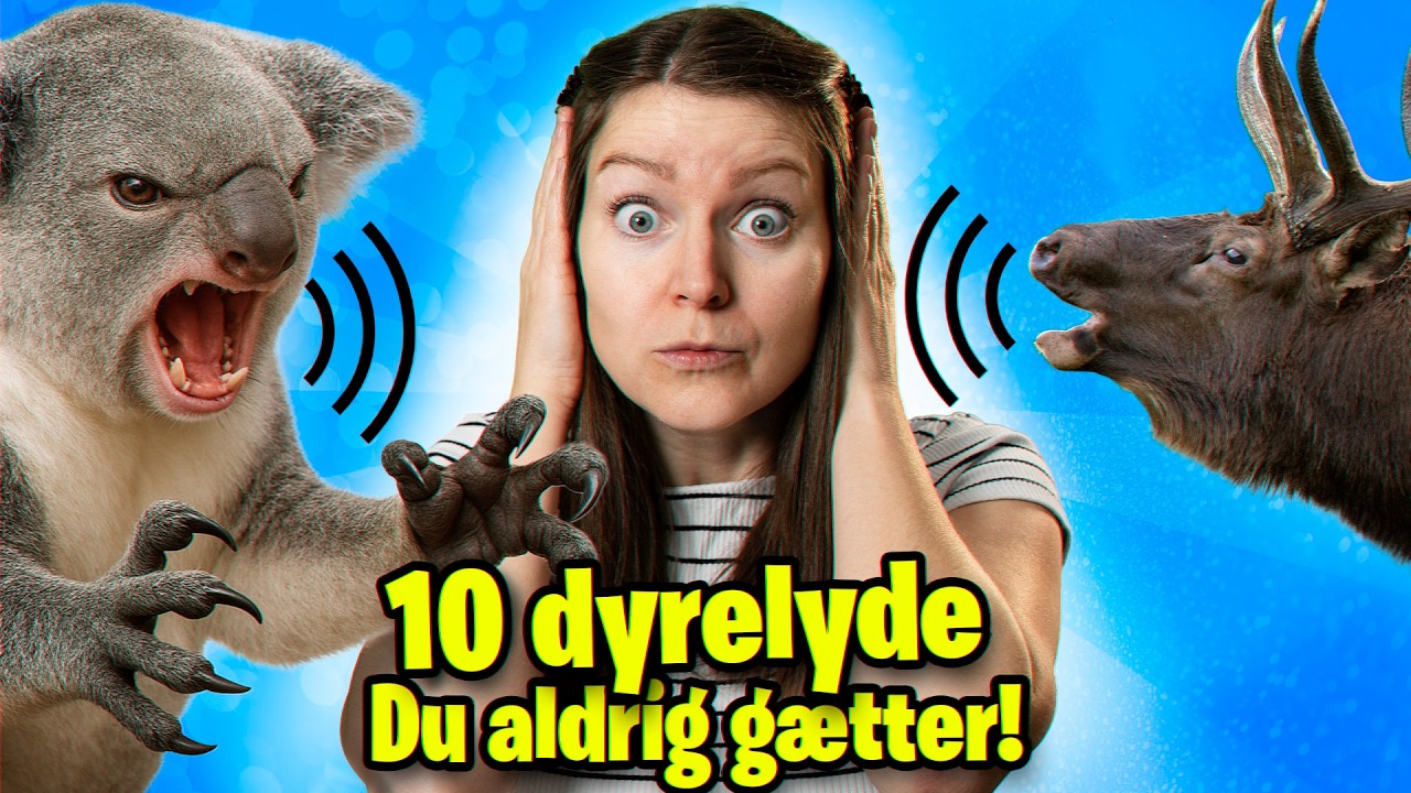10 dyrelyde du ALDRIG gætter! 🐊🦊🦜
