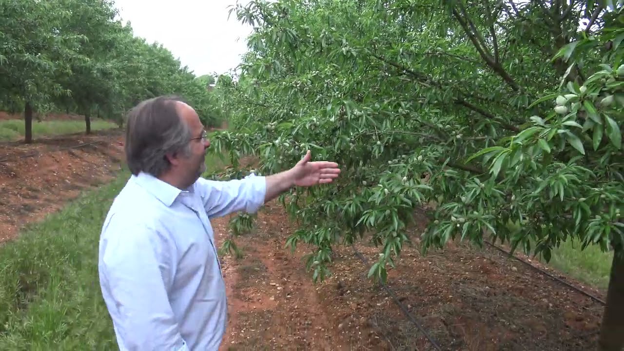Cuajado Avijor L. y Penta Mingorra 2021