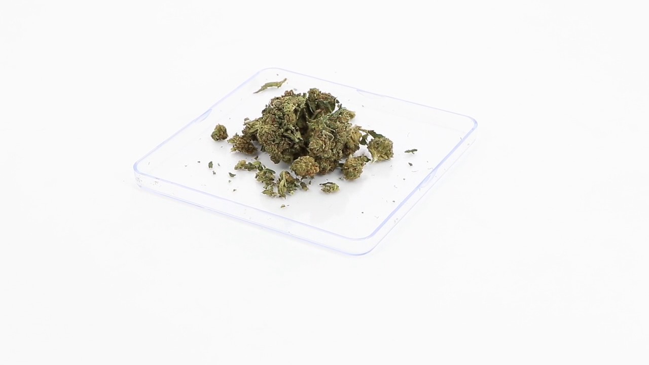 cbd 420 cannabis 50 frs
