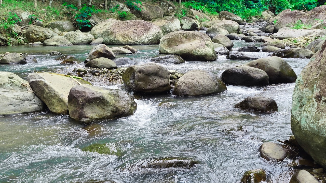 Peaceful Real River Flow | Natural River White Noise | Deep Rest & Focus