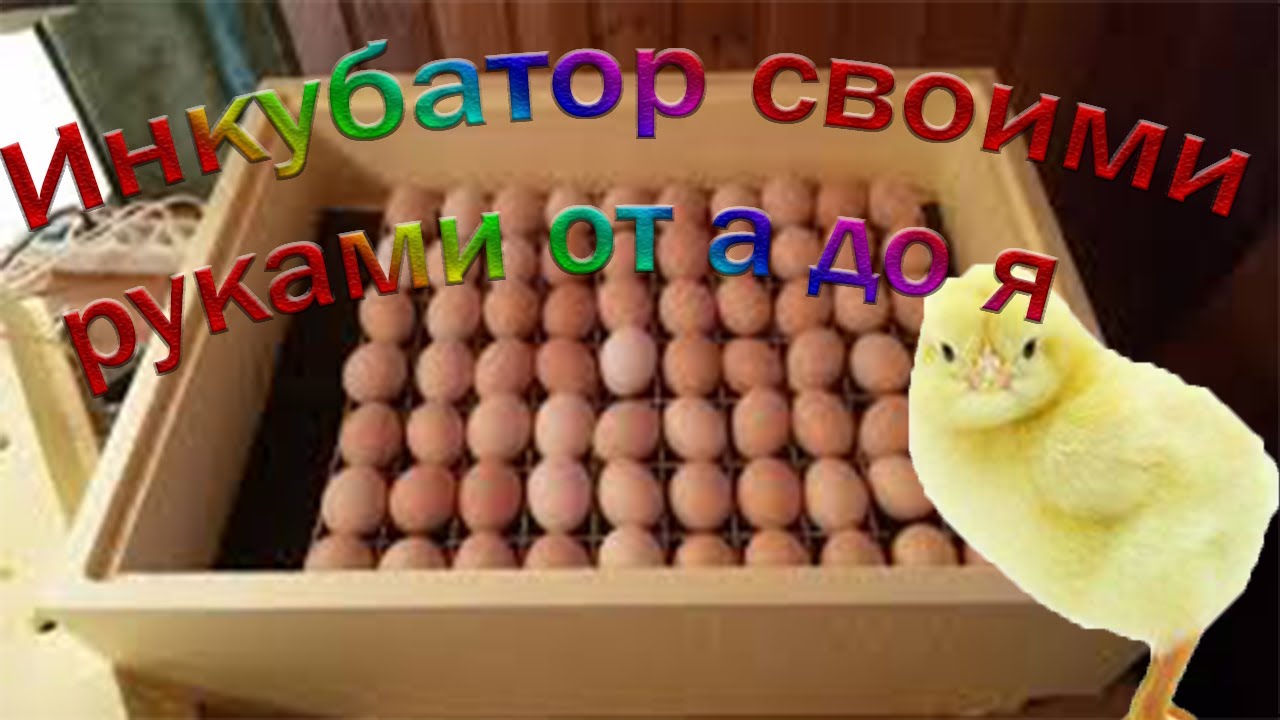 Инкубатор своими руками от а до я