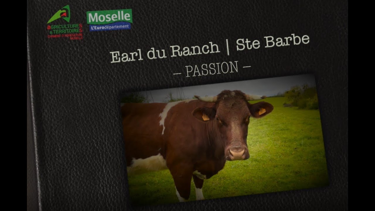 Chambre agriculture Moselle - EARL DU RANCH