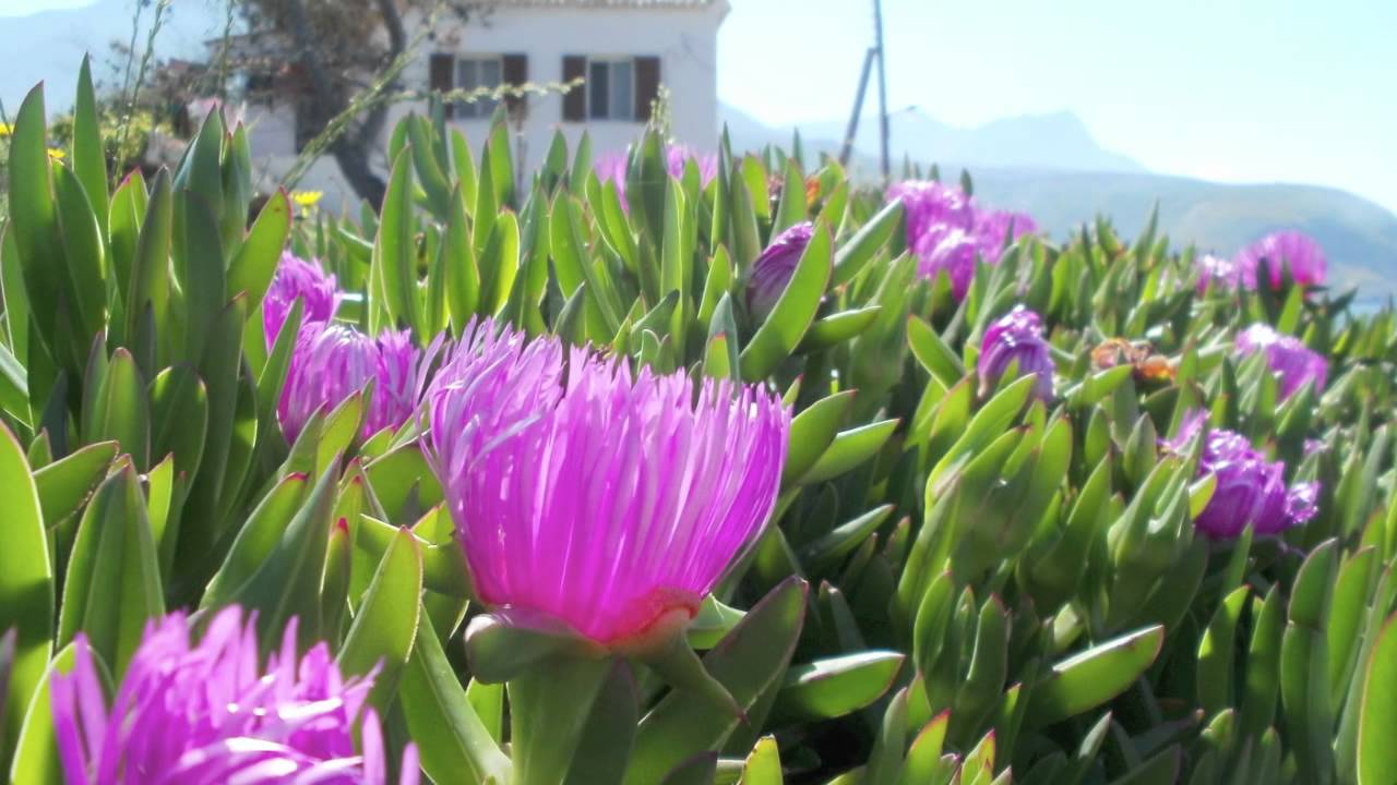 Aprilis (April) av Mikis Theodorakis