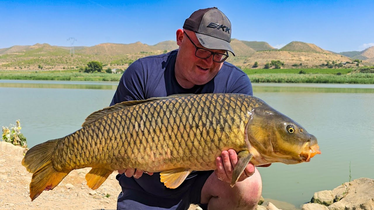 Targeting PERCH, CARP & ROACH | Lure fishing for BASS |August 2025 Compilation