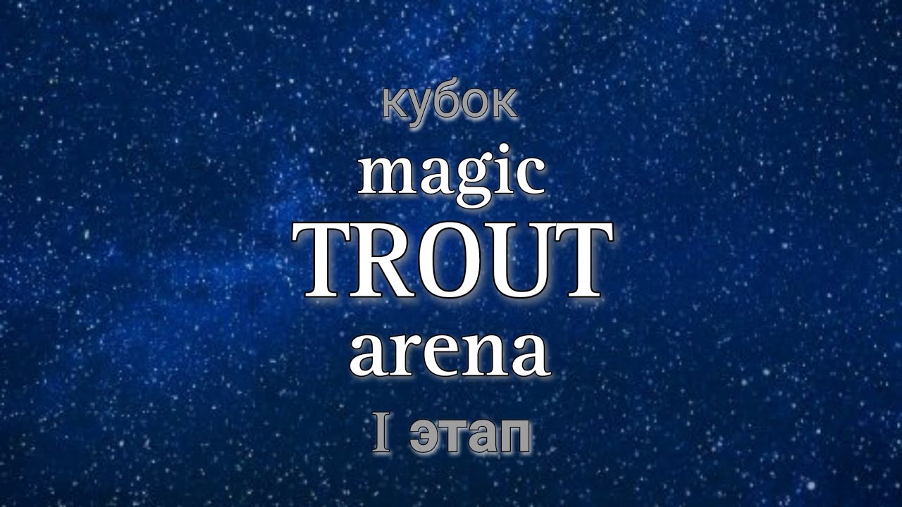 I этап кубка 