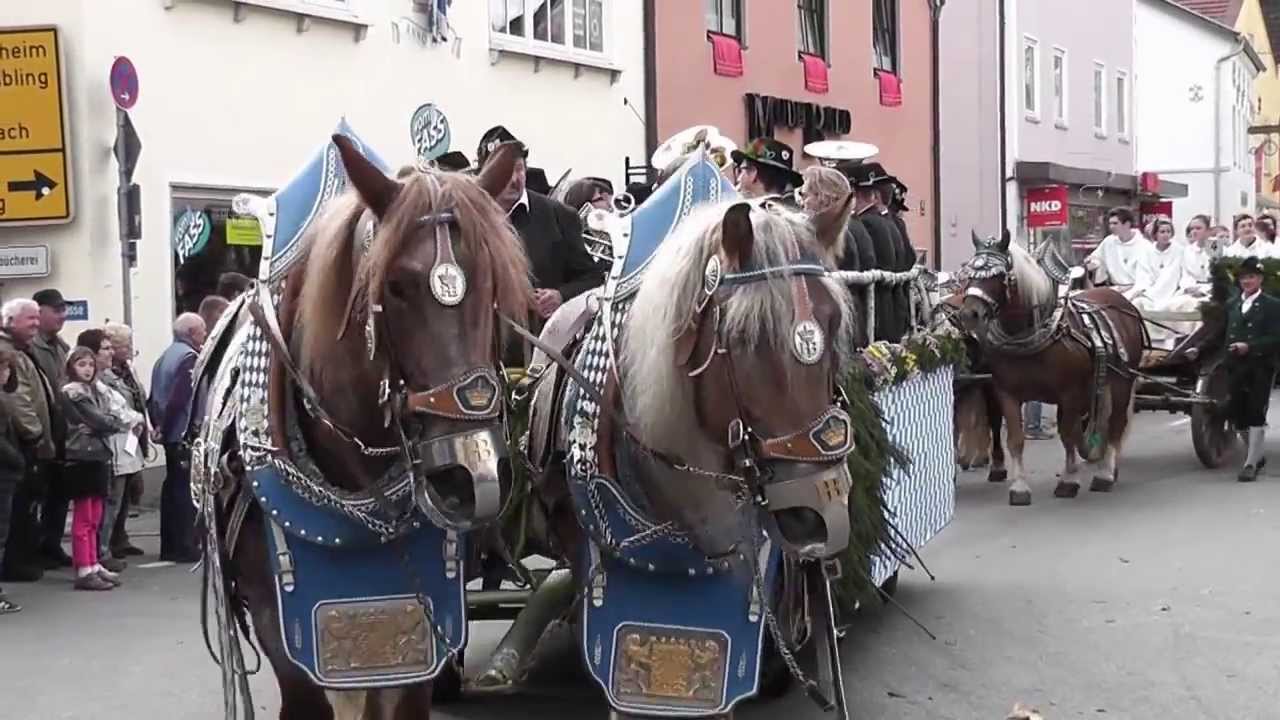 900 jähriges Brauchtum Die Leonhardifahrt in Grafing bei München