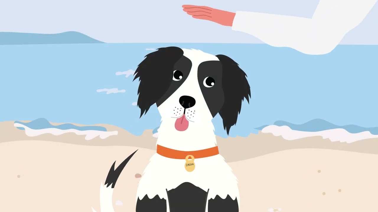 Being a Responsible Dog Owner Educational Video