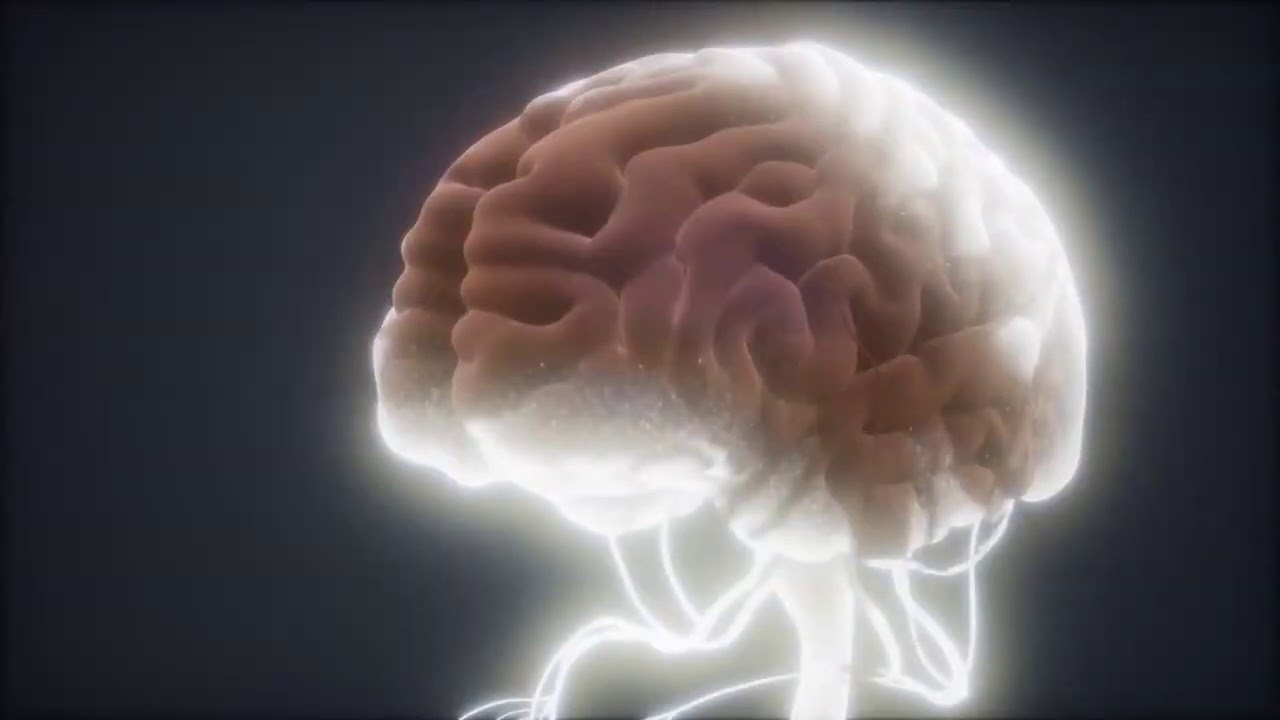 Bill Gates &rsquo; - Animals think plants think trees think