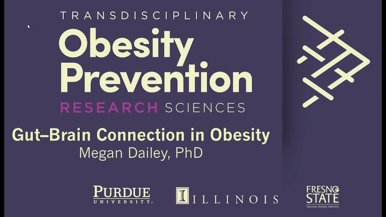 Gut&ndash;Brain Connection in Obesity