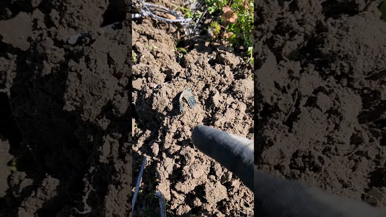 WOW - Found One! #metaldetecting