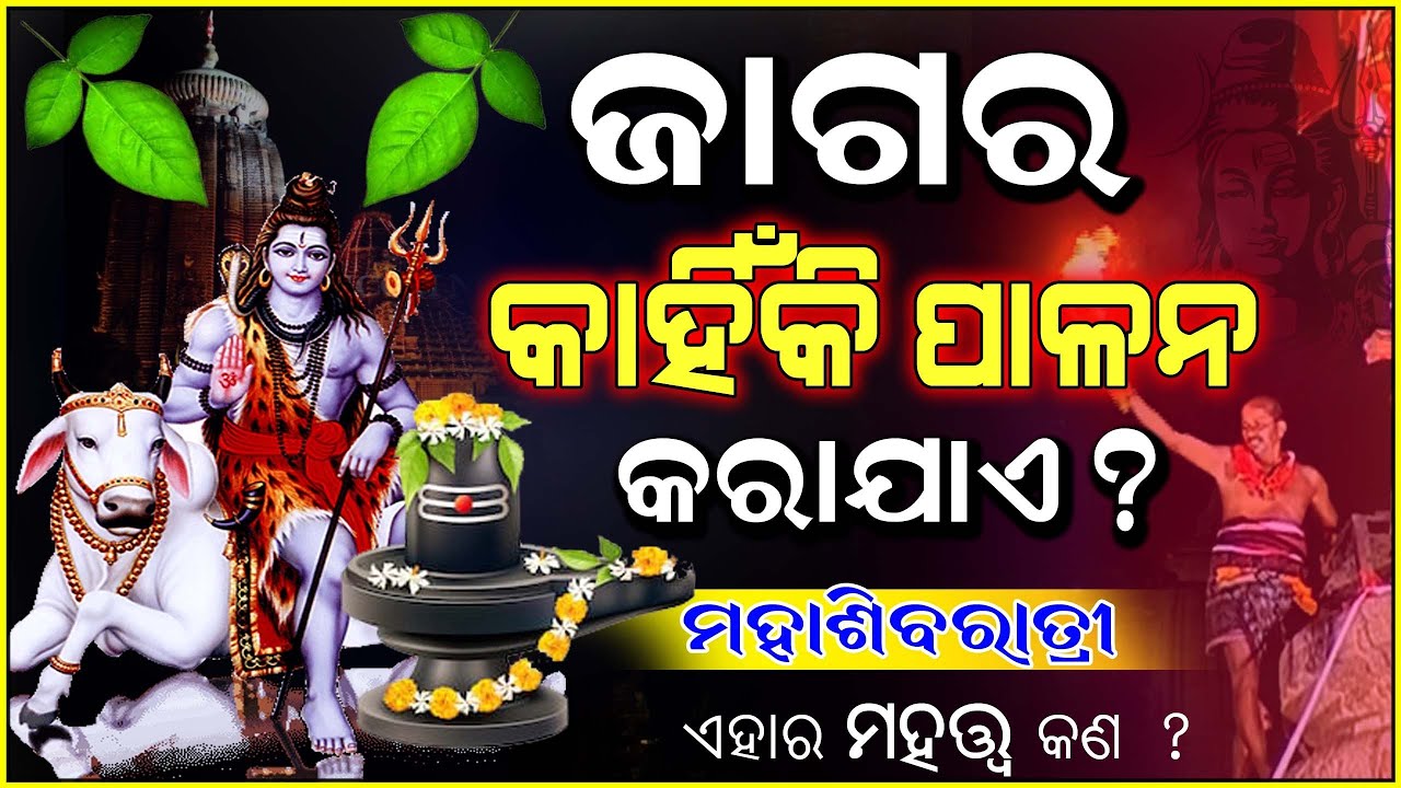କାହିଁକି ପାଳନ କରାଯାଏ ମହାଶିବରାତ୍ରି? || Jagara History in Odia || Why Do We Celebrate Maha Shivratri ||
