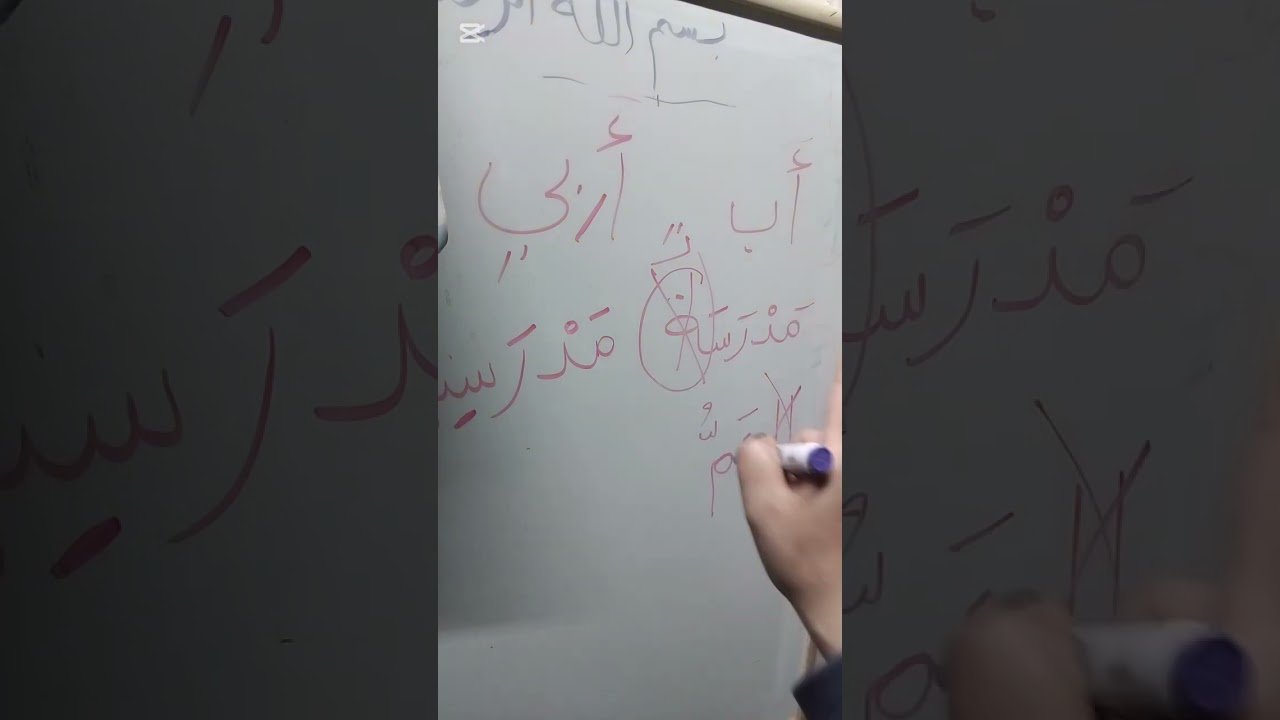 الفيديو ده هيغير رأيك 👌سرّ محدش قاله قبل كده 🤫 💥#ترند#اكسبلور#فيديو_جديد#مشاهدات#لايك#ريلز#تيك_توك