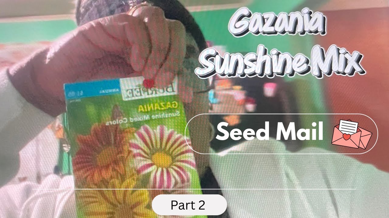 Garden Reset Continues 🌿 | Seed Mail 💌 Shopping & Essentials (Part 2)