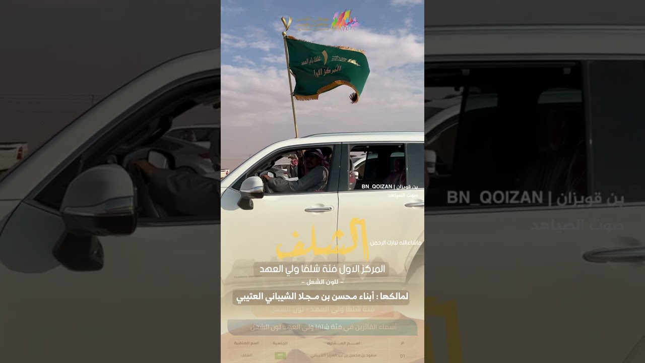 المركز الأول فئة شلفا ولي العهد للون الشعل (الشلف) لمالكها : أبناء / محسن بن مجلا الشيباني العتيبي
