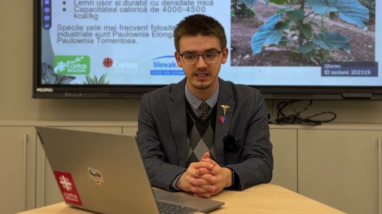 Lecția 2 despre specia de copaci paulownia și beneficiile pentru mediu