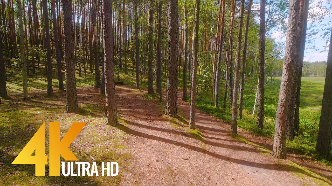 Amazing Nature of Lithuania - 4K Walking Tour - Part #2 - Short Preview Video
