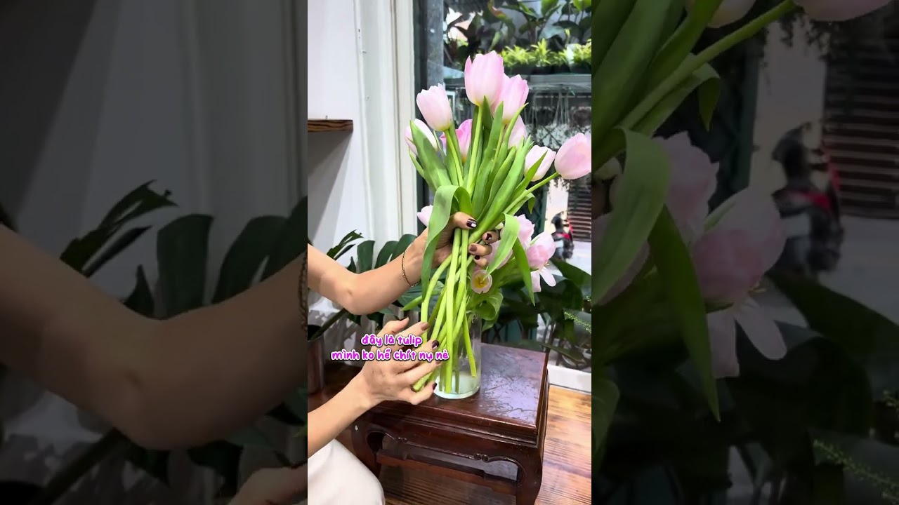 M&aacute;ch Bạn C&aacute;ch Giữ Cho Hoa Thẳng-Hoa Tulip Sau 4 Ng&agrave;y L&agrave;m Th&iacute; Nghiệm