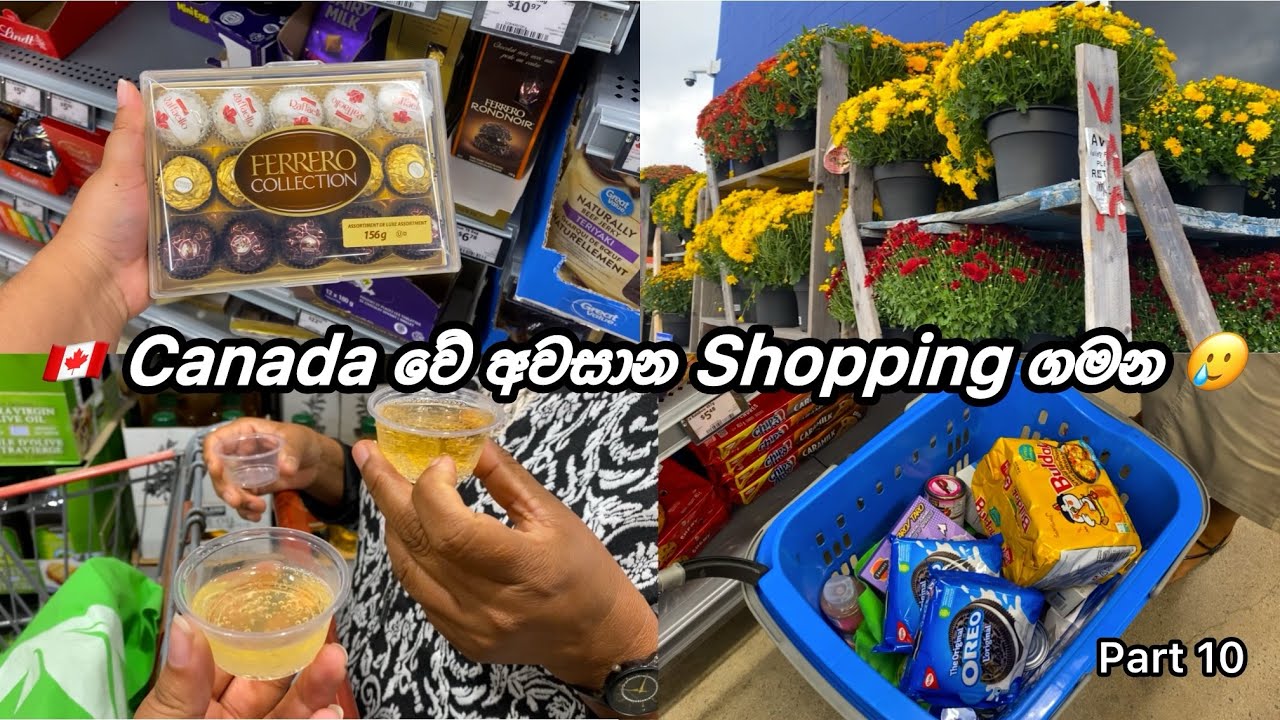 🥲 Last shopping vlog in canada🇨🇦 | අන්තිම shopping ගමන |🇨🇦 Canada Vlog | sinhala | part 10 