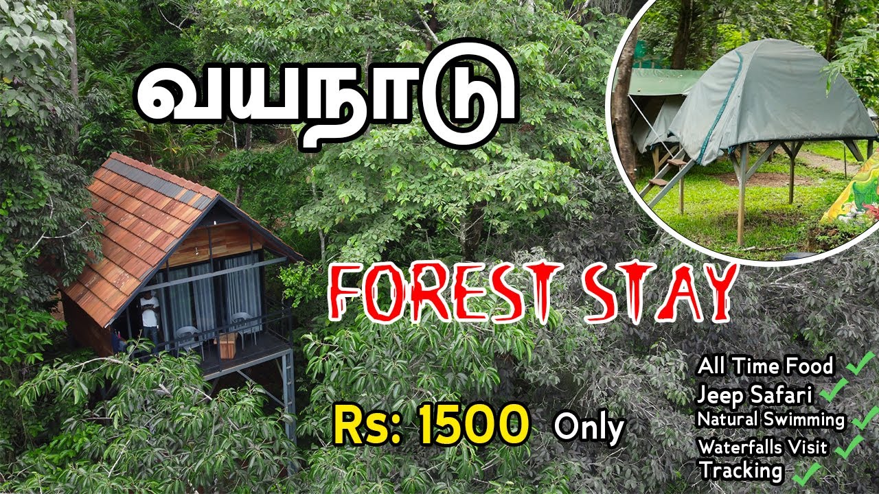 Отдых в лесном палаточном домике Wayanad Meppadi всего за 1500 рупий | Отдых в лесном палаточном ...