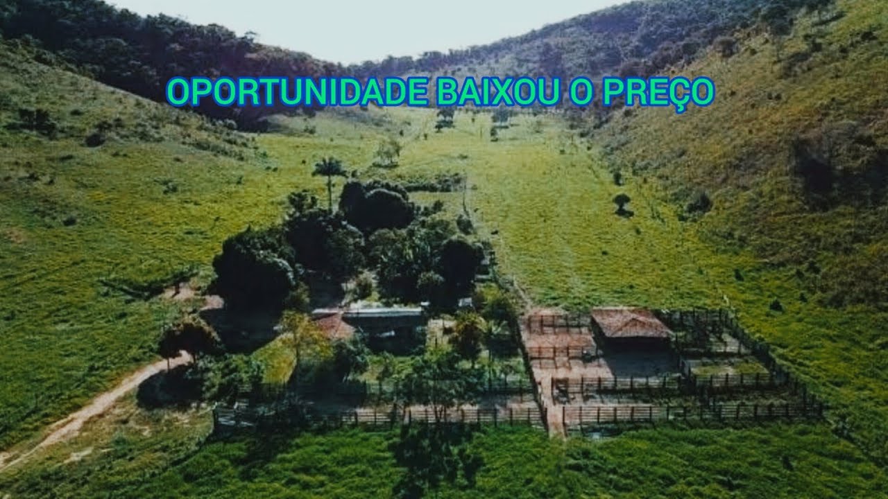 FAZENDA 100 ALQUEIRES TOP NA REGIÃO TEÓFILO OTONI-MG BAIXOU O PREÇO