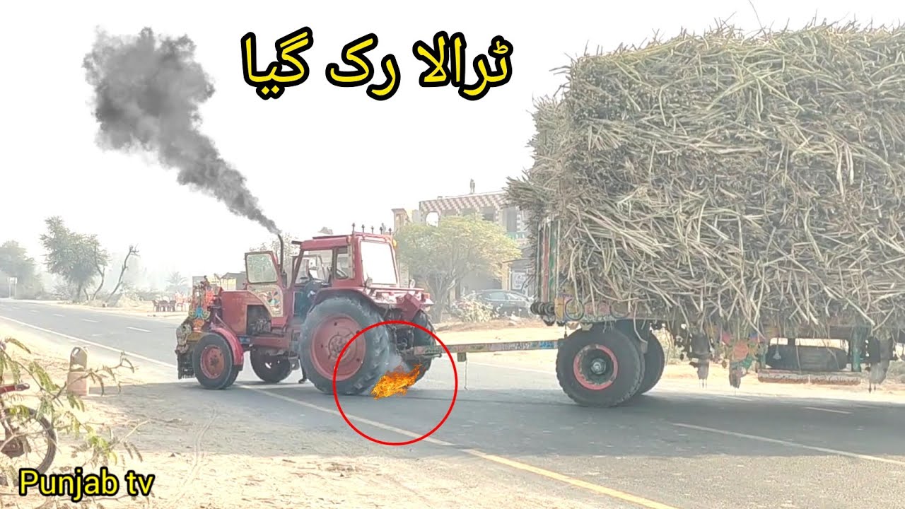 Belarus Tractor 510.1pulling sugarcane laoded trailer 