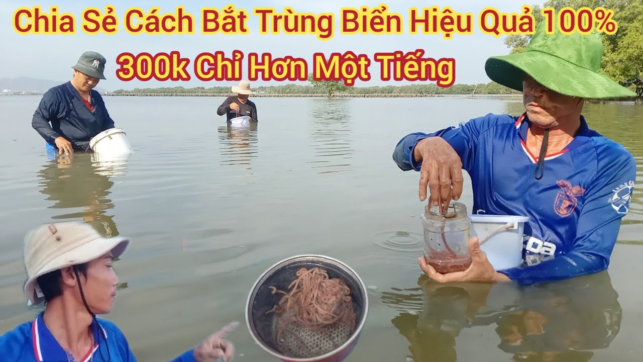 Chia Sẻ Cách Bắt Trùng Biển Hiệu Quả - 300k Chỉ Hơn Một Tiếng Ở Rừng Ngập Mặn ... ba hưng csb