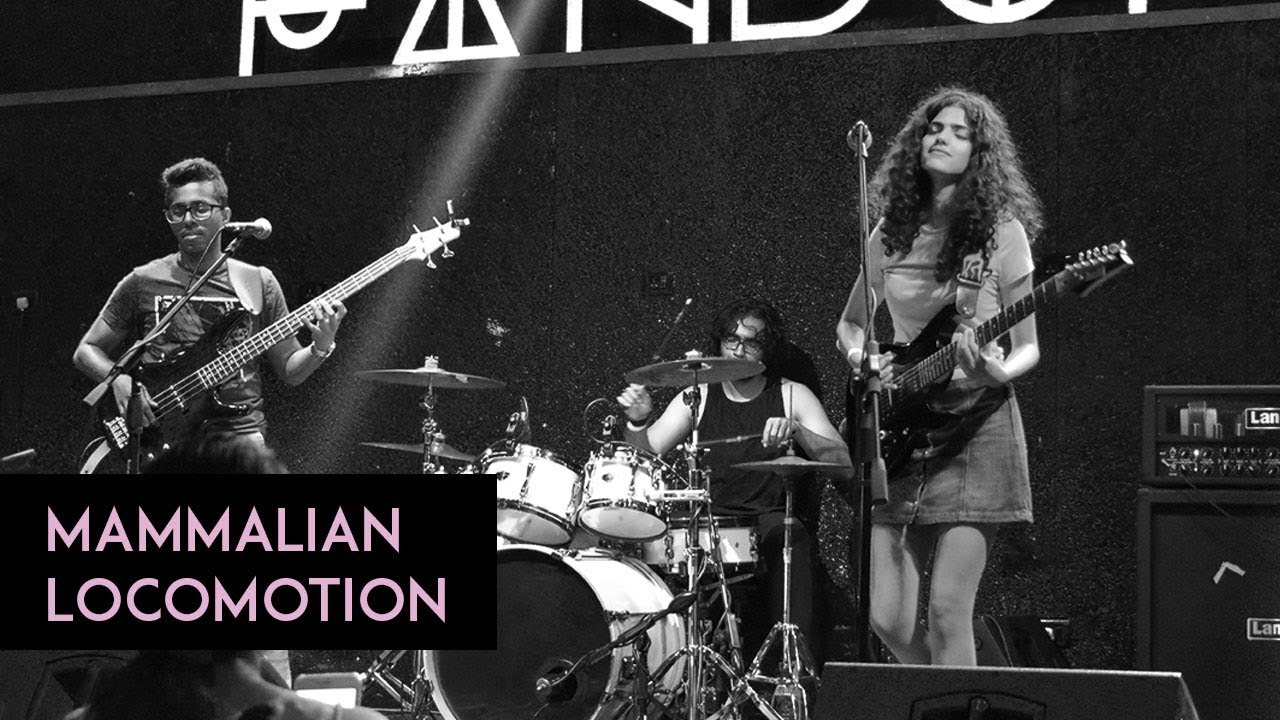 Mammalian Locomotion Live at Gilly's Fandom (Abbe May Cover)