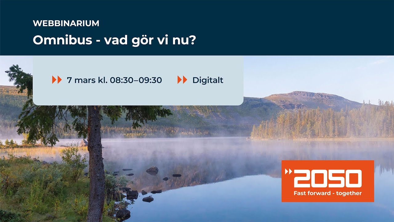 Webbinarium 250307: Omnibus - Vad gör vi nu?