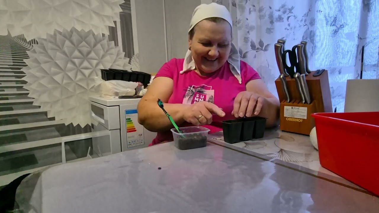 8 марта 2026 г.С праздником милые женщины! /показываю теплицу/ жду детей,готовлю