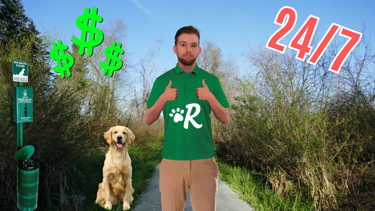 I tried full-time dog walking on Rover for 3 months. Shocking earnings!