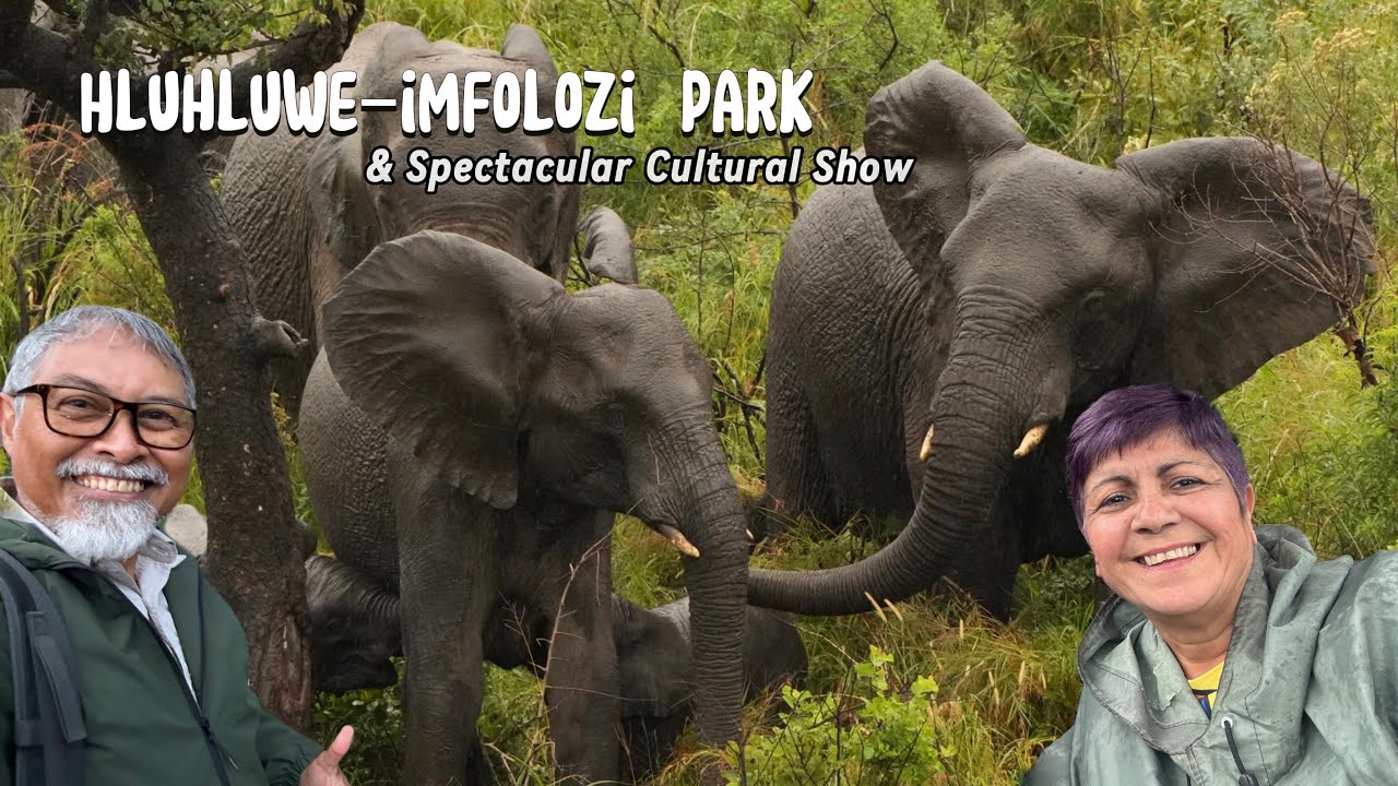 🦏 Hluhluwe–iMfolozi Safari & Cultural Dance Show | South Africa Adventure Ep 5 (Part 2)