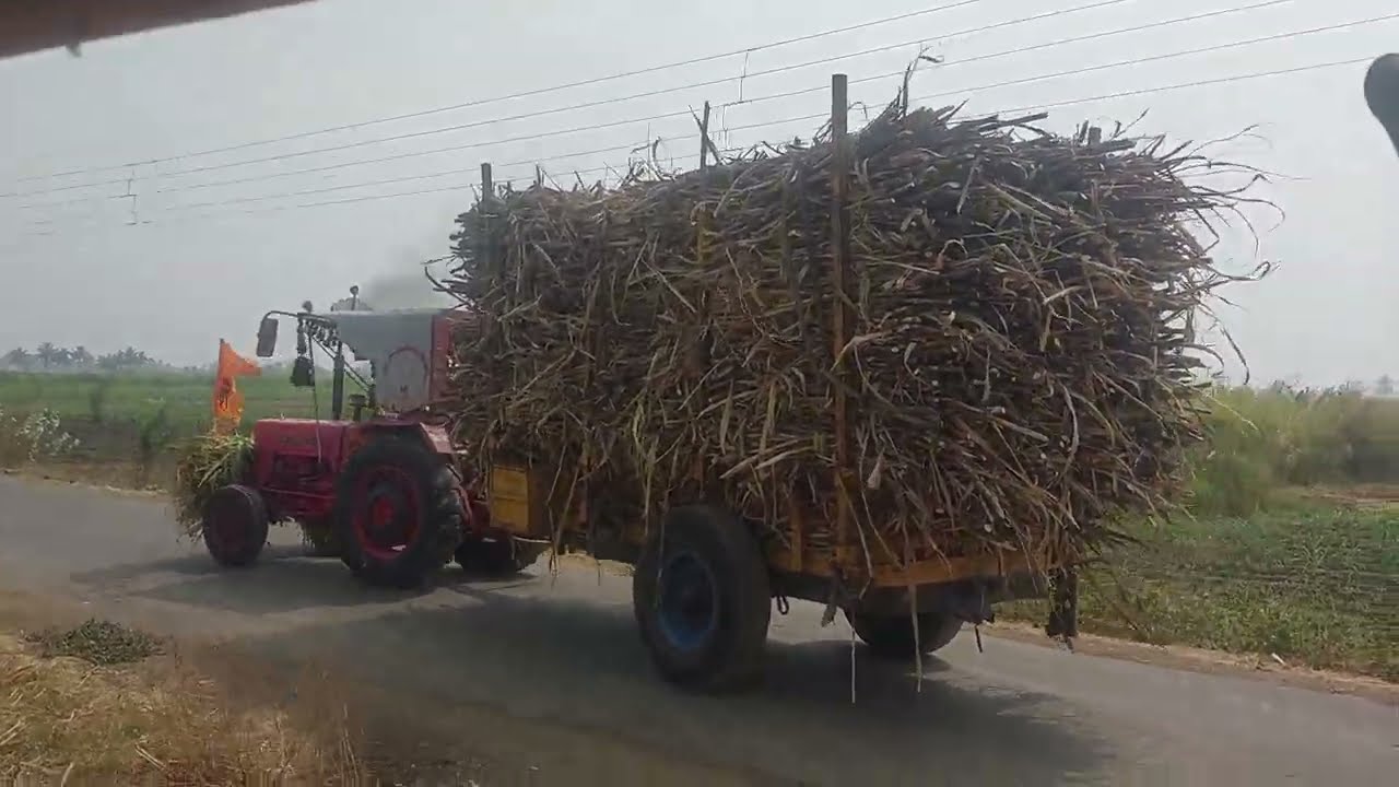 Sugarcane transporting in india 
