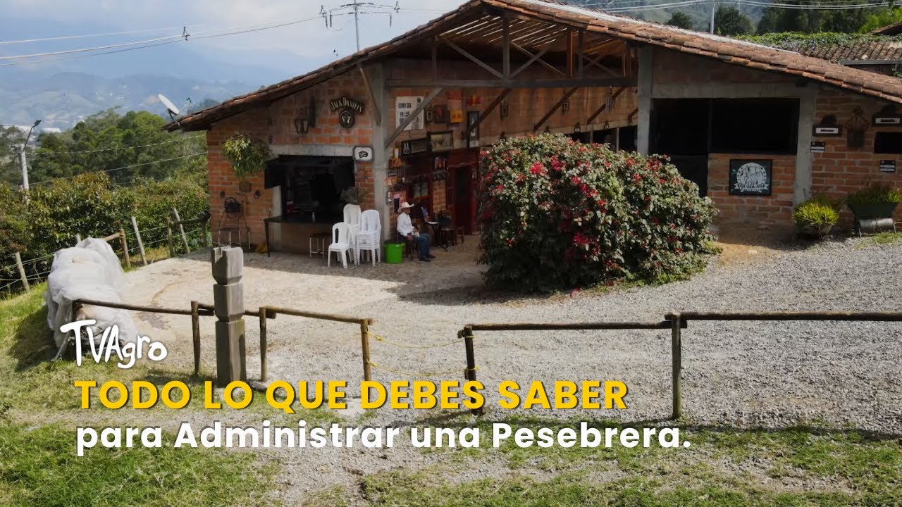 Todo lo que Debes Saber para Administrar una Pesebrera - TvAgro por Juan Gonzalo Angel