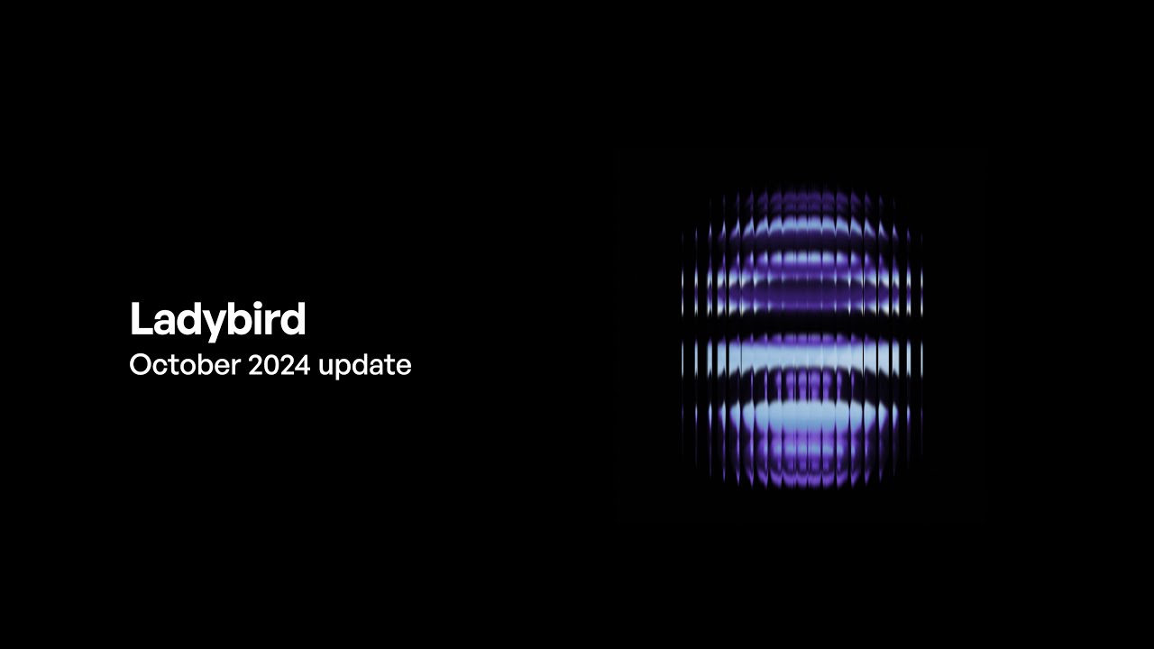 Ladybird browser update (October 2024)