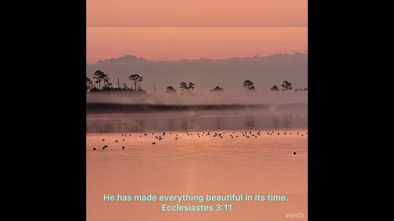 “He has made everything beautiful in its time