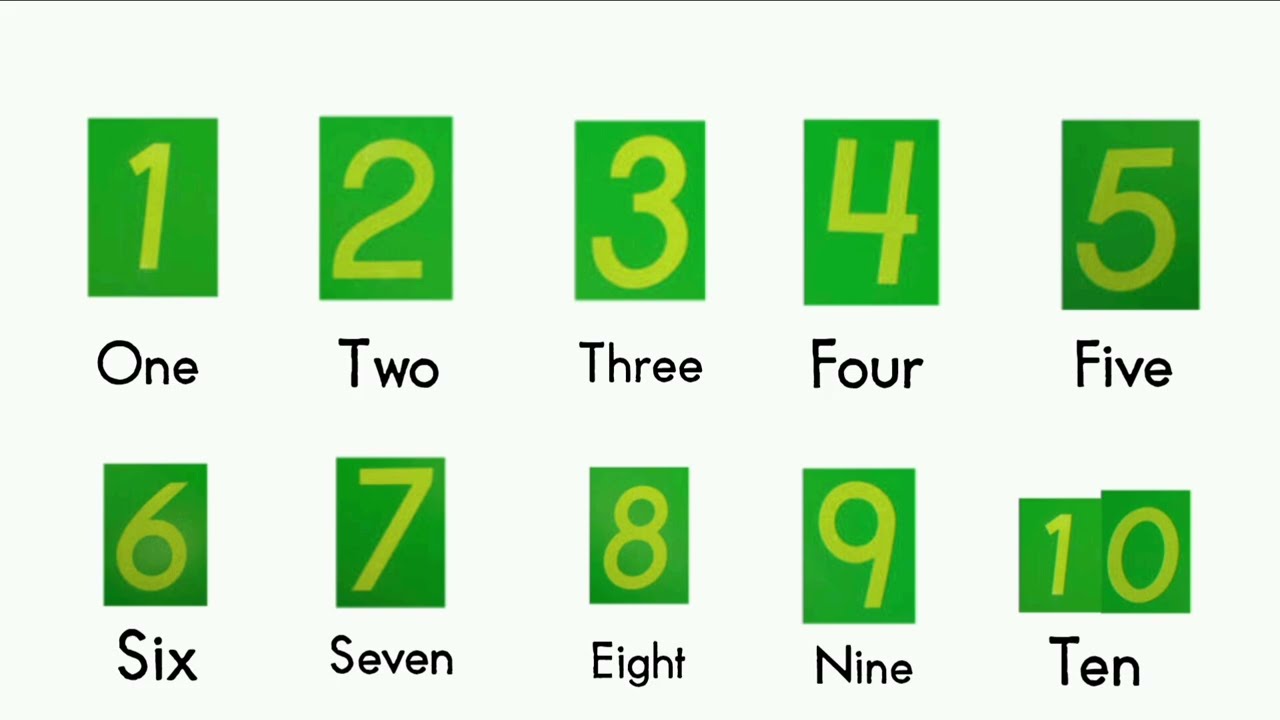 LEARN NUMBERS VOCABULARY KIDS 