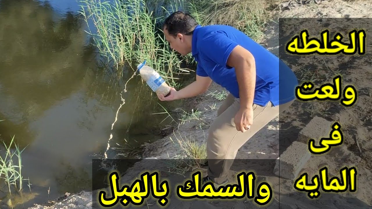 كل اسرار صيد الغله وطريقة تحضيرها والعياشه اتعبت سمك #fishing  #carp_fish