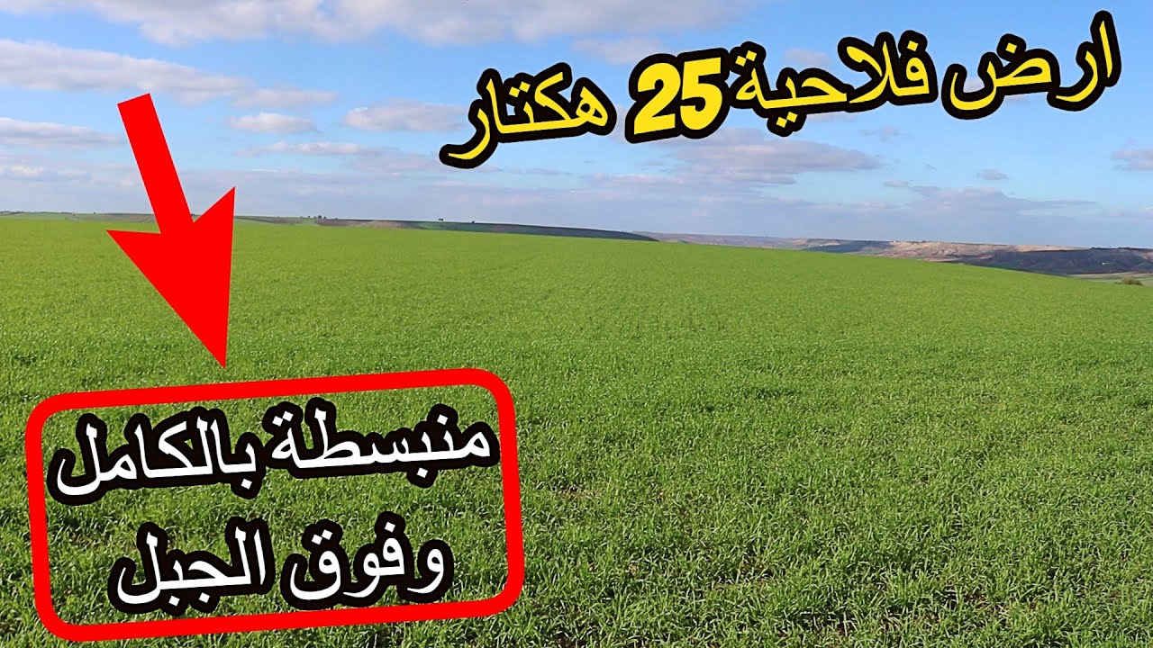 ✨ارض فلاحية 25 هكتار بجانب الجيران ومكان مرتفع بمناظر بانورامية رائعة وتربة غنية  ✨ الرماني
