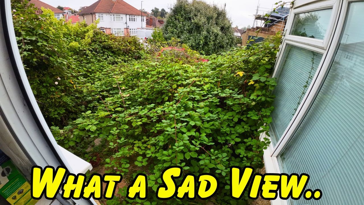 HEARTBREAKING View.. Imagine How 96 Year Old Sheila Must Feel! (Part 3)