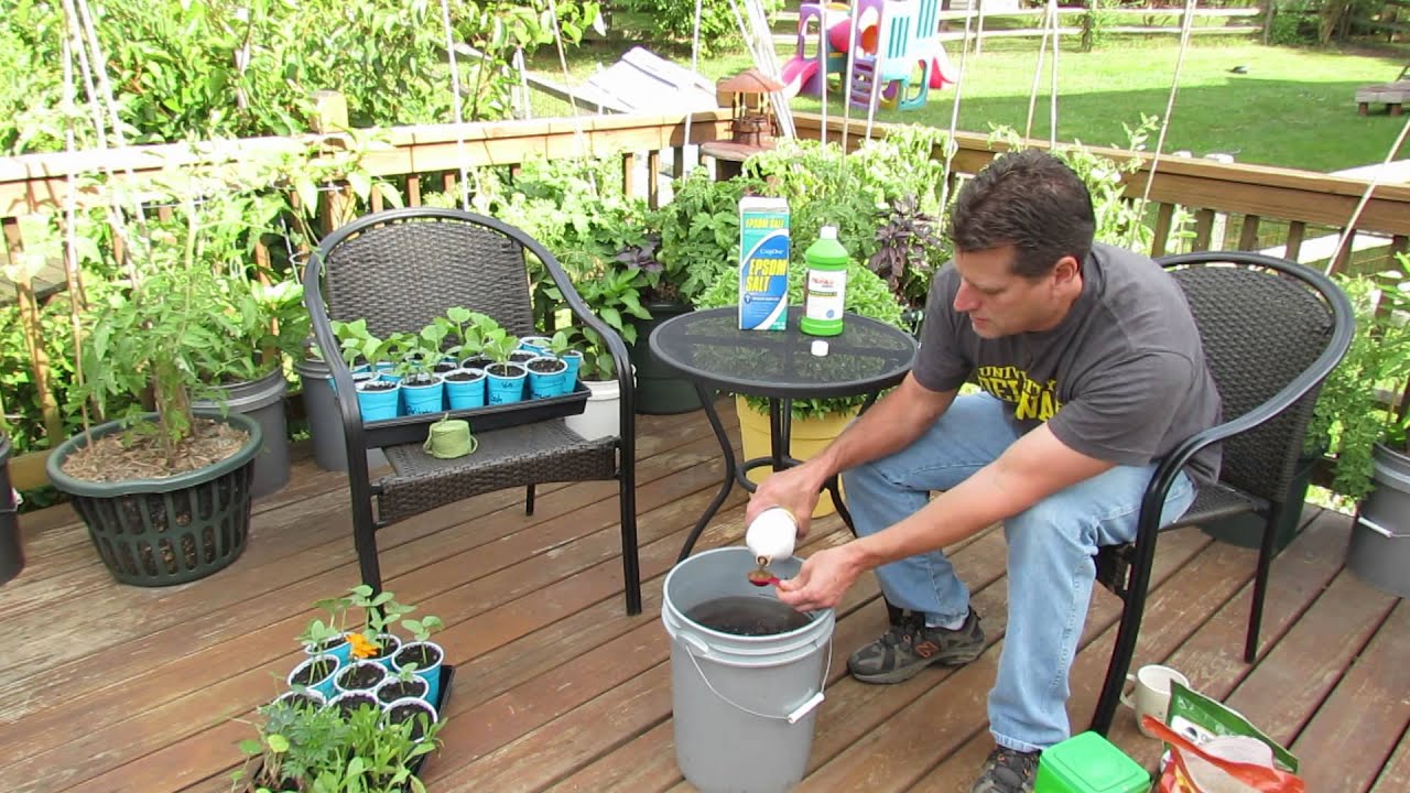 How to Use & What is Water Soluble Garden Fertilizer: My Organic Mix - TRG 2014