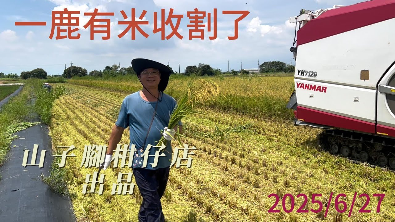 20250629一鹿有米收割