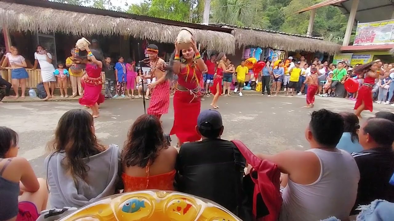baile shuar (shushui) 