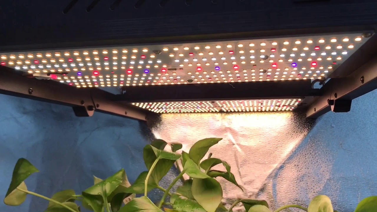 240w foldable led quantum board grow light