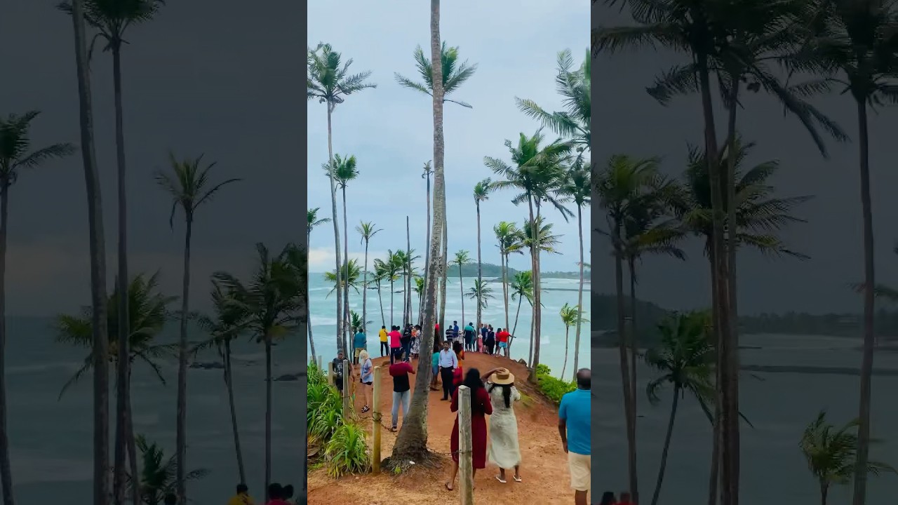 Mirissa Coconut Hill #exploresrilanka #travelsrilanka #visitsrilanka #nature #mirissa