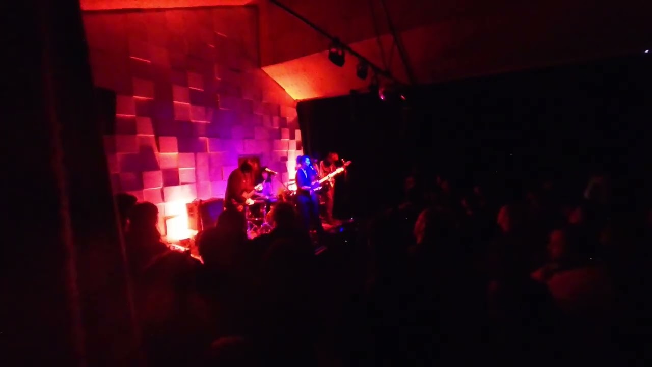 Camomile - 03 Live at Cactus Room 31.07.25